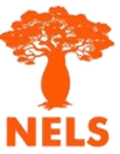 Logo NELS